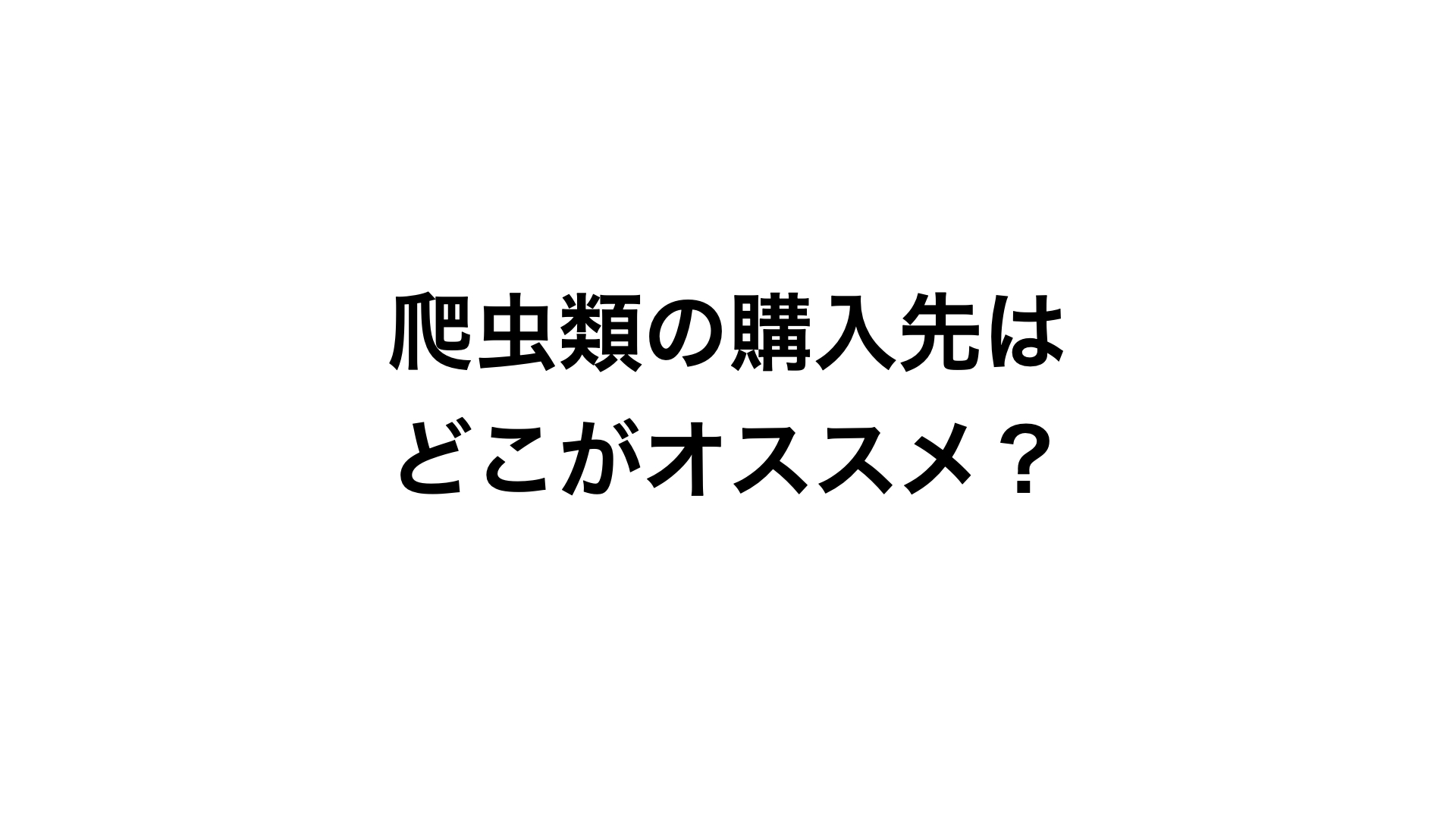 爬虫類はイベントで買うべき ショップで買うべき それともホームセンター 爬虫類飼育者がメリットデメリットを答えます You Reptiles Com